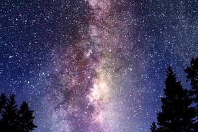 Calvin And Hobbes Looking At Stars iPhone 5 Wallpapers