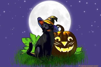 Jack Cat Halloween Wallpapers © Copyright Robin Wood 2006