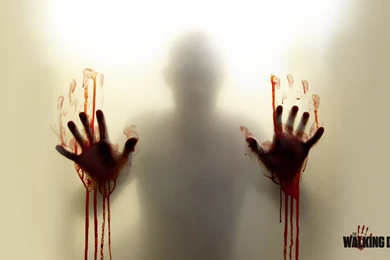 The Walking Dead Wallpapers Archives   Page 3 Of 13   WideWallpapers ...