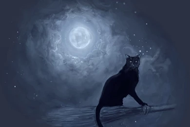 Wallpapers The Dark Moon Fondos Blackberry 1200x800