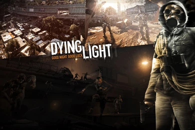 Dying Light Game Backgrounds For Wallpapers 3256