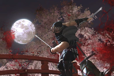 Ninja, Black, Wallpapers, Widescreen, Original (