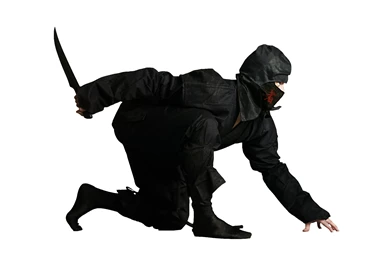 Tail Time (Image Manipulation)