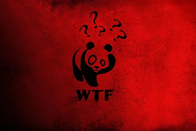 1680x1050 Panda, China, Red, Wtf, Question Mark, Winnie The Pooh ...