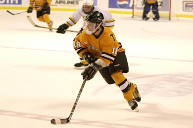 Ice Hockey ~ Desktop Wallpapers