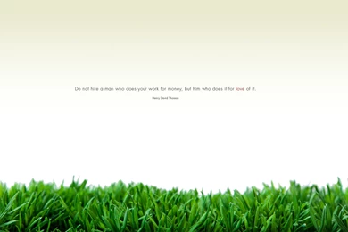 Custom, David, Wallpaper, Desktops, Images, Shiki, Brave, Openbox ...