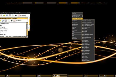 Raiders Of The Lost Arch: Auto change Wallpapers