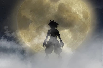 Possible Kingdom Hearts HD Collection In 2012? — Gamers XTREME