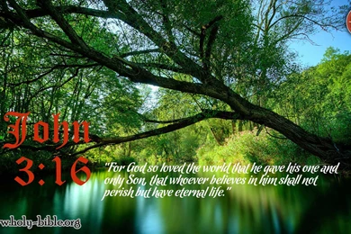 Bible Verse Of The Day – John 3:16