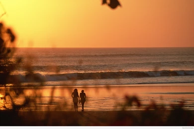 Beach Summer Wallpapers