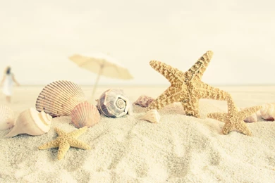 Summer Beach Wallpapers • HD Wallpapers Day