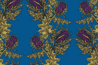 Timorous Beasties Wallcoverings   Grand Thistle Hand Print Wallpapers