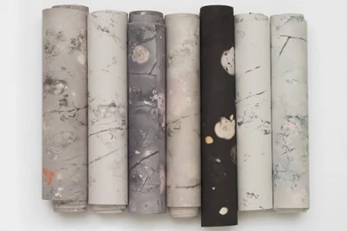 Anna Dove Hand Printed Wallpapers Fabrics And Accessories   Stylehive