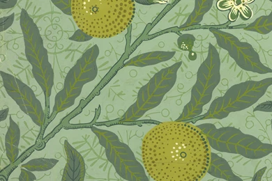 Friday Gem From The Stoddard – Templeton Design Archive: Sanderson ...