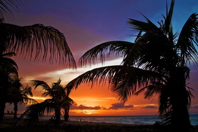 Nexus 4 Wallpapers Page 88: Tropical Sunset Palms Beach Sun Sky ...