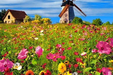 Spring Nature Wallpapers High Resolution