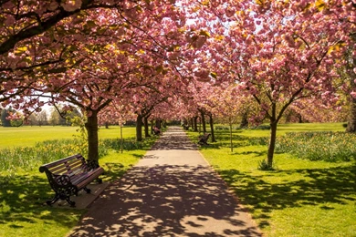 22+ Spring Nature Wallpapers, Backgrounds, Images