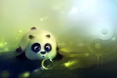 Cute Panda Animation Wallpapers   Windows 10 Wallpapers