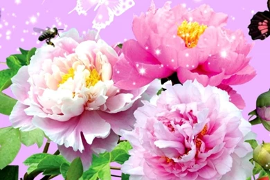 Cute Animated Wallpapers For Mobile