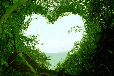 Beautiful Love Nature Wallpapers