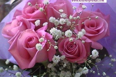 Beautiful Walls On Pinterest