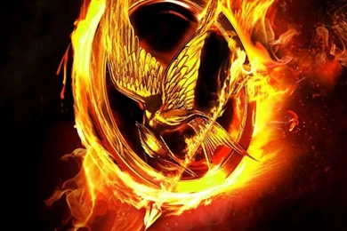 Hunger Games The Movie Wallpapers For Your Mobile Phone.