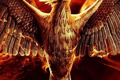 The Hunger Games Mockingjay Part 1 HD Desktop Wallpapers : High ...