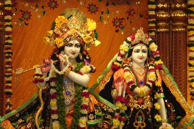ISKCON Radha Krishna Live Hd Wallpapers   Free Hd Wallpapers