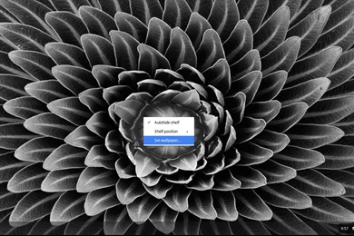 Chromebook Beginner's Guide] How To Set A Custom Wallpapers On ...