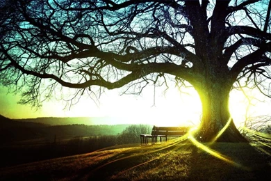 Nature,Sun Nature Sun 1900x1200 Wallpapers – Sun Wallpapers ...