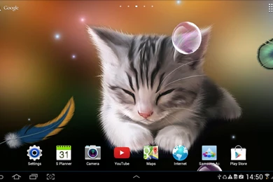 Sleepy Kitten Wallpapers Lite   Android Apps On Google Play