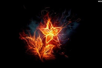 YouWall   Fire Flower Wallpapers   Wallpaper,wallpapers,free ...