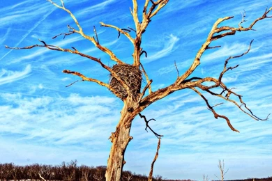 Natural Sundial HD Desktop Wallpapers : Widescreen : High ...