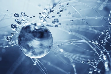 Water Drop HD Wallpapers For PC