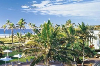 Photograph Palm Tree Wallpapers Australia Neat   Wallpaperhds.xyz