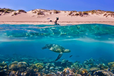 Abstract, Other, Australian, Vacation, Wide, High, Resolution ...