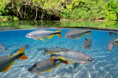 Water Wallpapers Tag   Amazing Wallpaperz