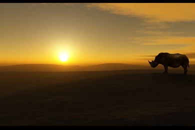 Download Sunsets Savannah Wallpapers 2048x1536