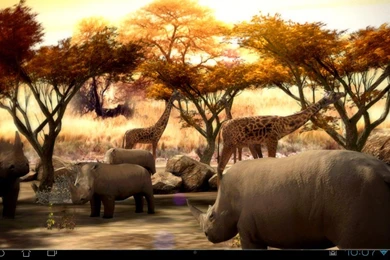 Africa 3D Free Live Wallpapers   Android Apps On Google Play