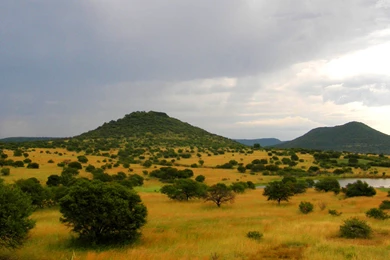 African Savanna On Pinterest