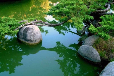 Download Nature Wallpapers