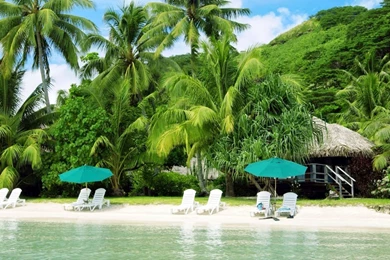 Beautiful HD Wallpapers : Nature Wallpapers HD For Mobile Free Download