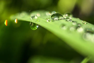 1920x1080 HD Wallpapers