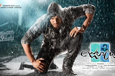 Julayi Movie Latest Wallpapers   Picture 245082