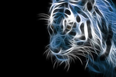 Wallpapers For Android Phones