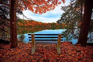 Fall Wallpapers Of Falling Leaves & Autumn Wallpapers