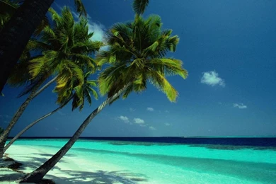 Wallpapers And Screensavers   Widescreen HD Wallpapers