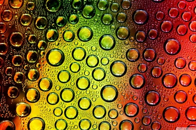 Colorful Water Drops Wallpapers