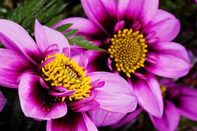 Computer Wallpapers And Screensavers 12 Free Hd Wallpapers ...