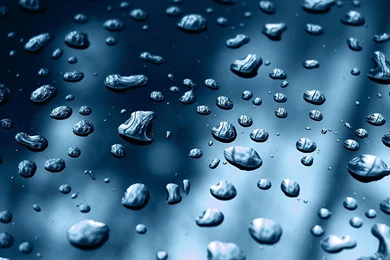 Gallery For > Water Drops Wallpapers